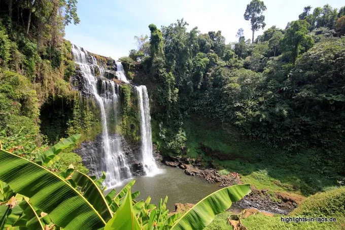 Bolaven-Plateau